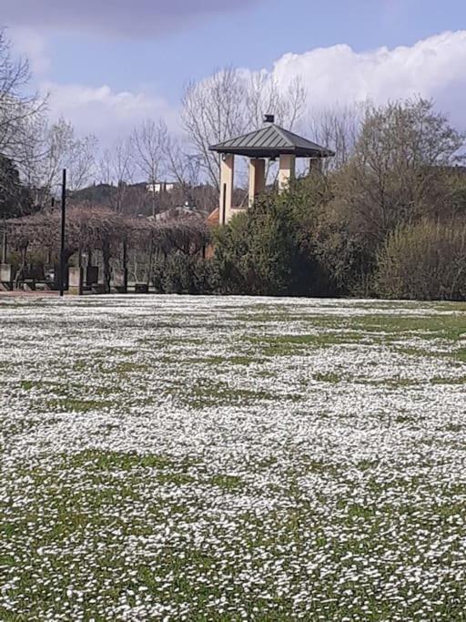 Dalla Rossa Montelupo Fiorentino Exterior photo